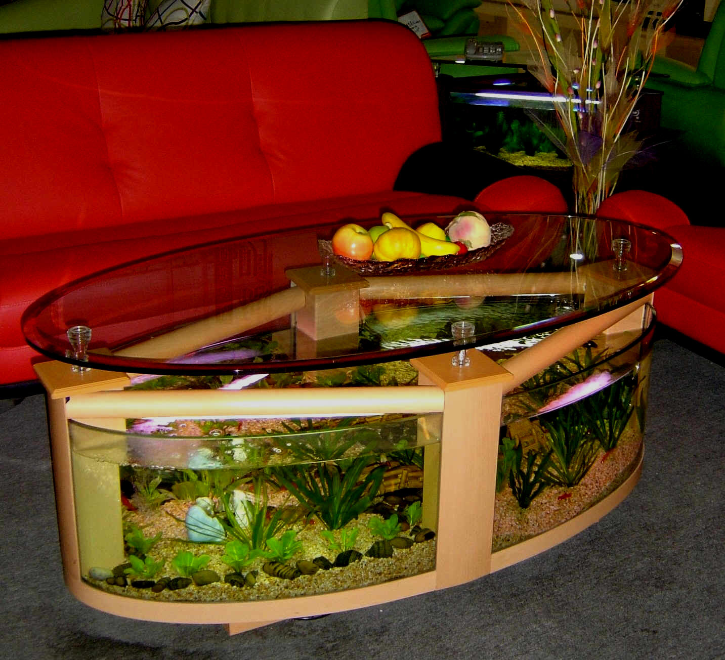 WARRANTY INCLUDED! 60 gallon GLASS oval round table aquarium fish tank ...
